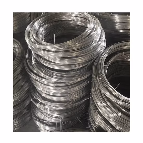 Fil de titane durable de 0,55 mm pour la fabrication de montres et de bijoux